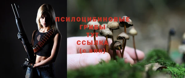 mdma Вяземский
