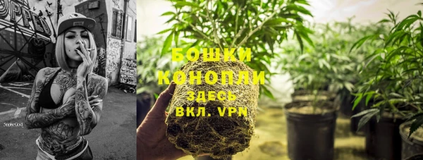 бошки Саяногорск