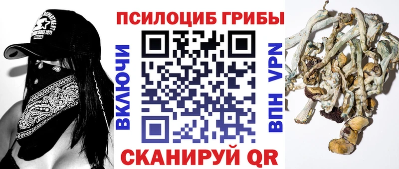 дарнет шоп Вольск Галлюциногенные грибы прущие грибы
