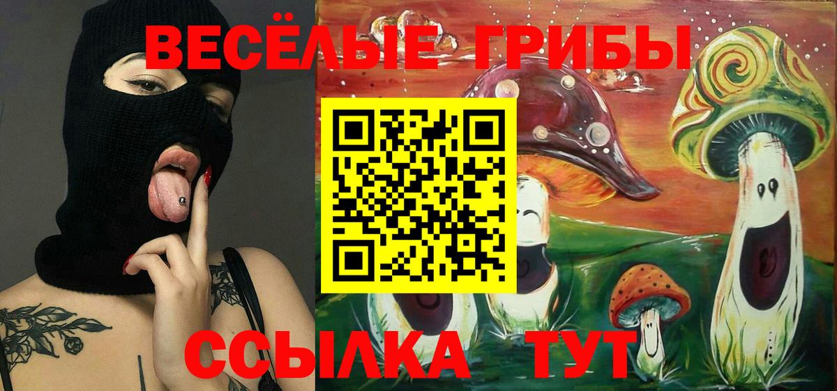Псилоцибиновые грибы GOLDEN TEACHER Вольск