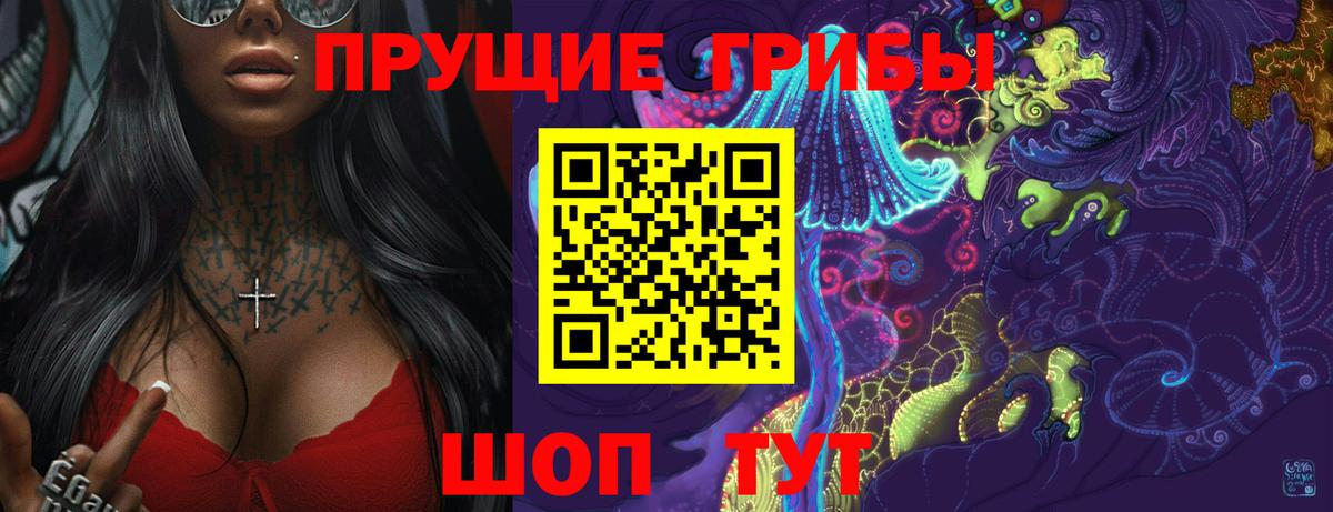 Псилоцибиновые грибы Cubensis  Вольск 